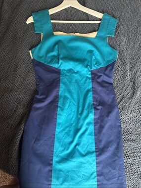 Bebe vintage shape dress colorblock